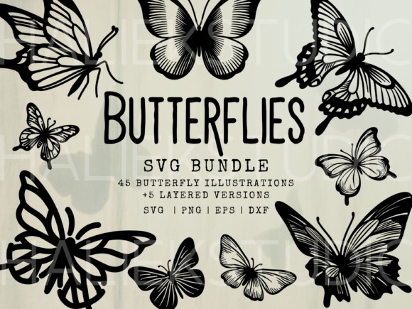 Download Butterflies SVG Illustrations - Illustration Collection