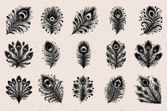 Download Peacock Feather SVG Bundle - Svg bundle Collection