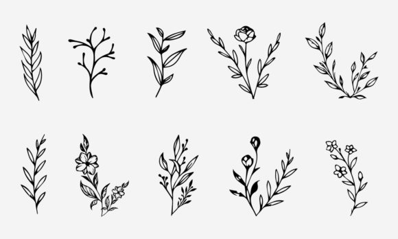 Download Flower Line Drawing Vector Illustration - Illustration Collection