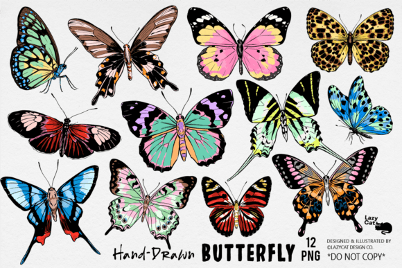 Download Butterfly Illustration PNG Bundle - Illustration Collection